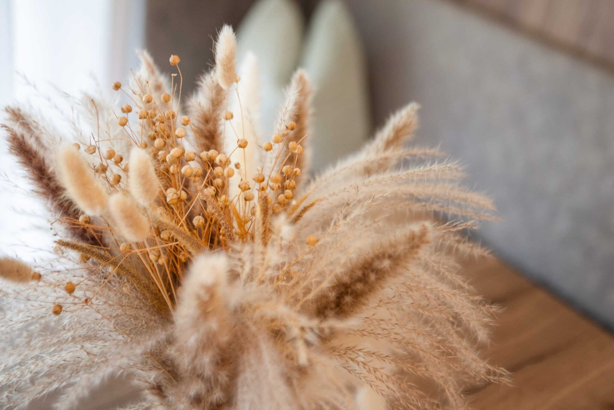 CHRIS_HASIBEDER_DSC2859-Bearbeitet