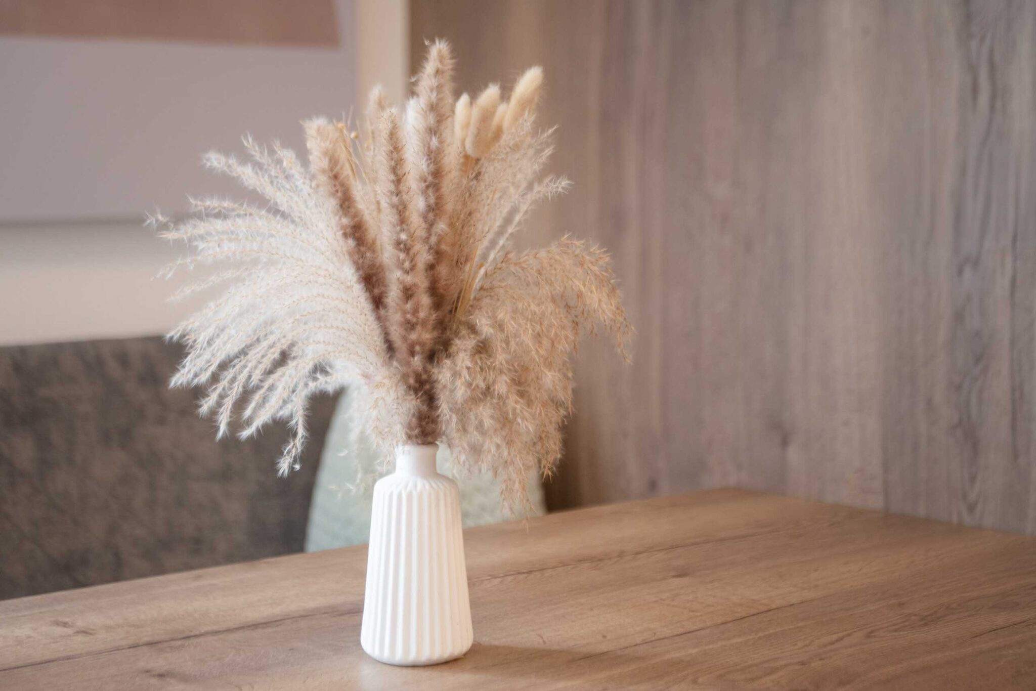 CHRIS_HASIBEDER_DSC2906-Bearbeitet